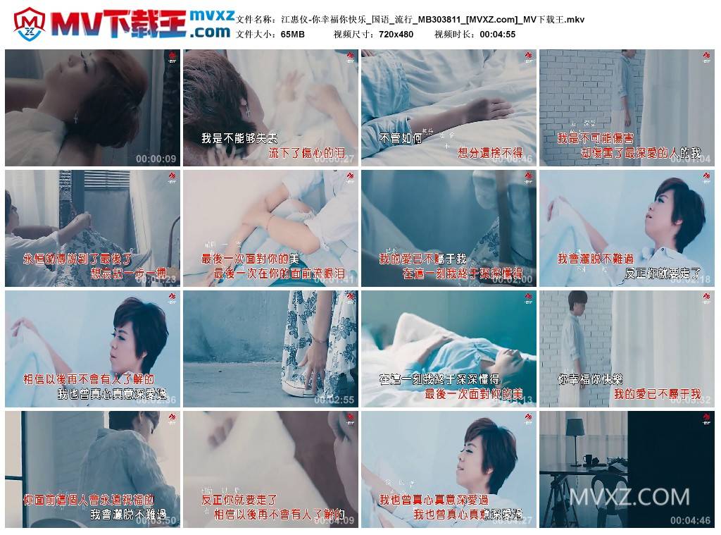 江惠仪-你幸福你快乐_国语_流行_MB303811